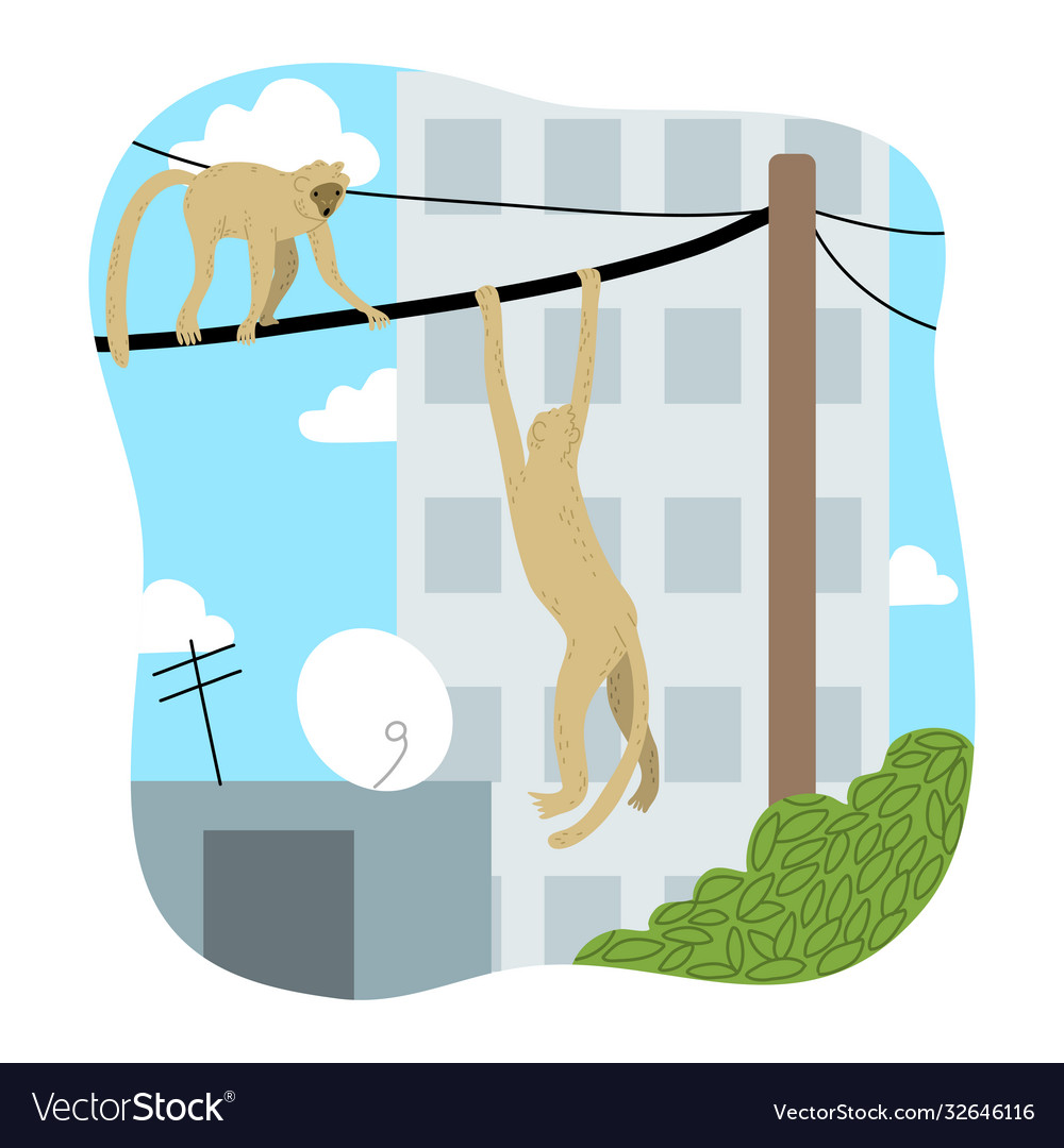 Two brown monkeys hanging on wires over city