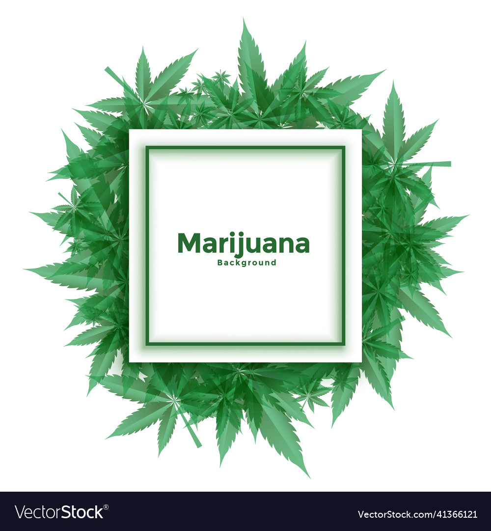 Cannabis marijuana leaves frame background