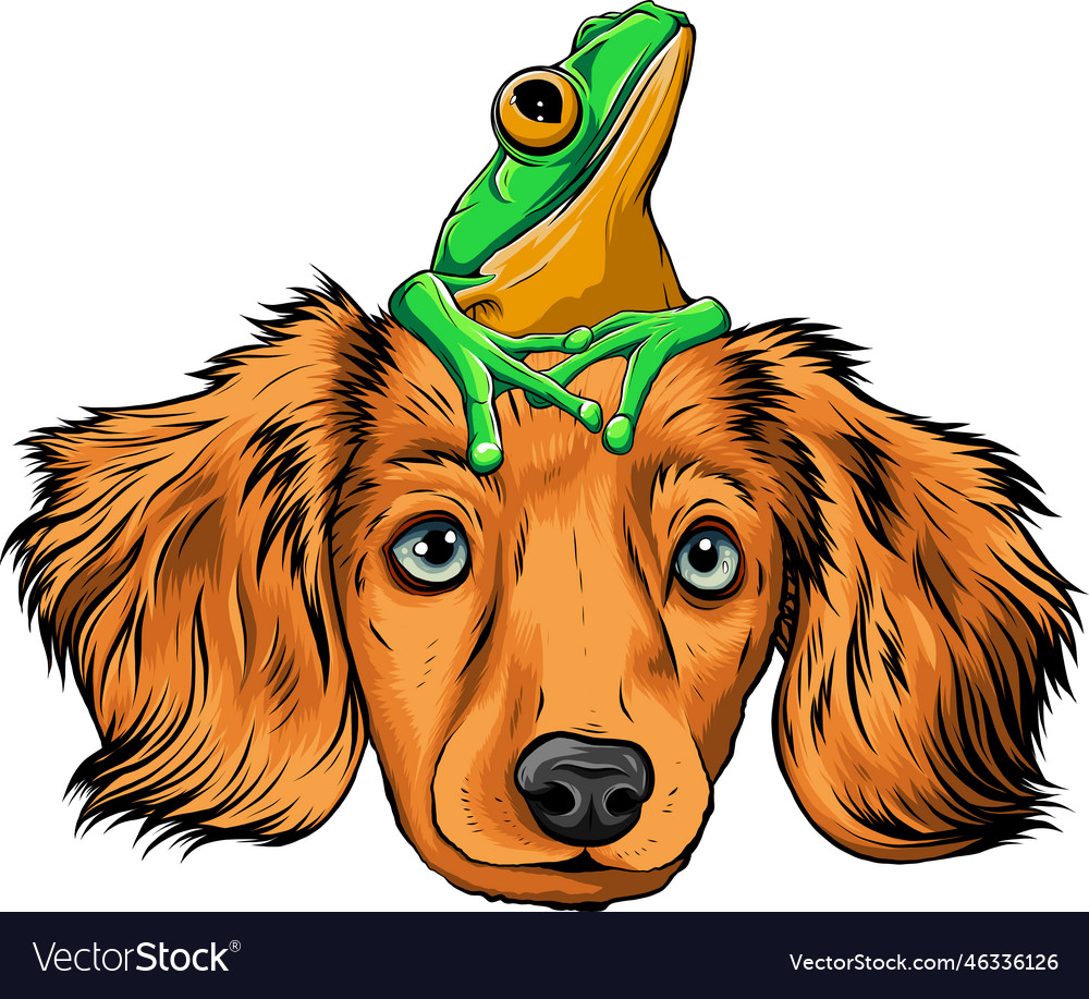 Dog and frog cartoon design Royalty Free Vector Image