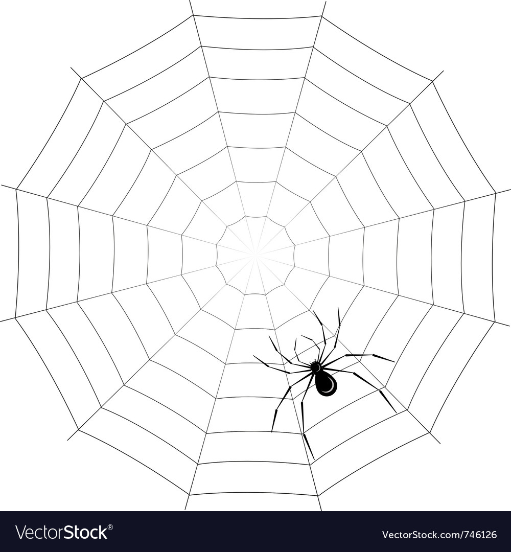 Spider On Web Royalty Free Vector Image - Vectorstock