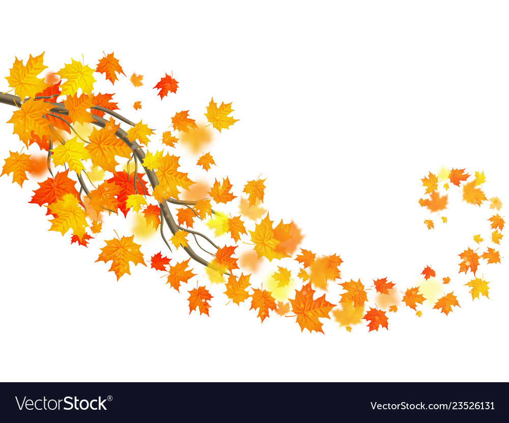 Autumn Maple Leaves Background