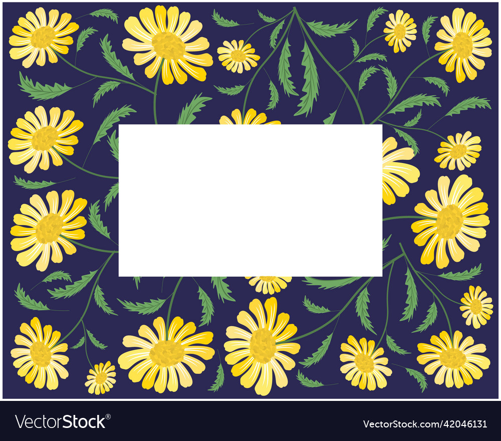 Frame of fresh and beautiful yellow daisy blossoms