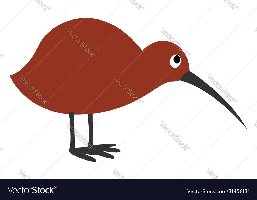 Kiwi bird on white background Royalty Free Vector Image