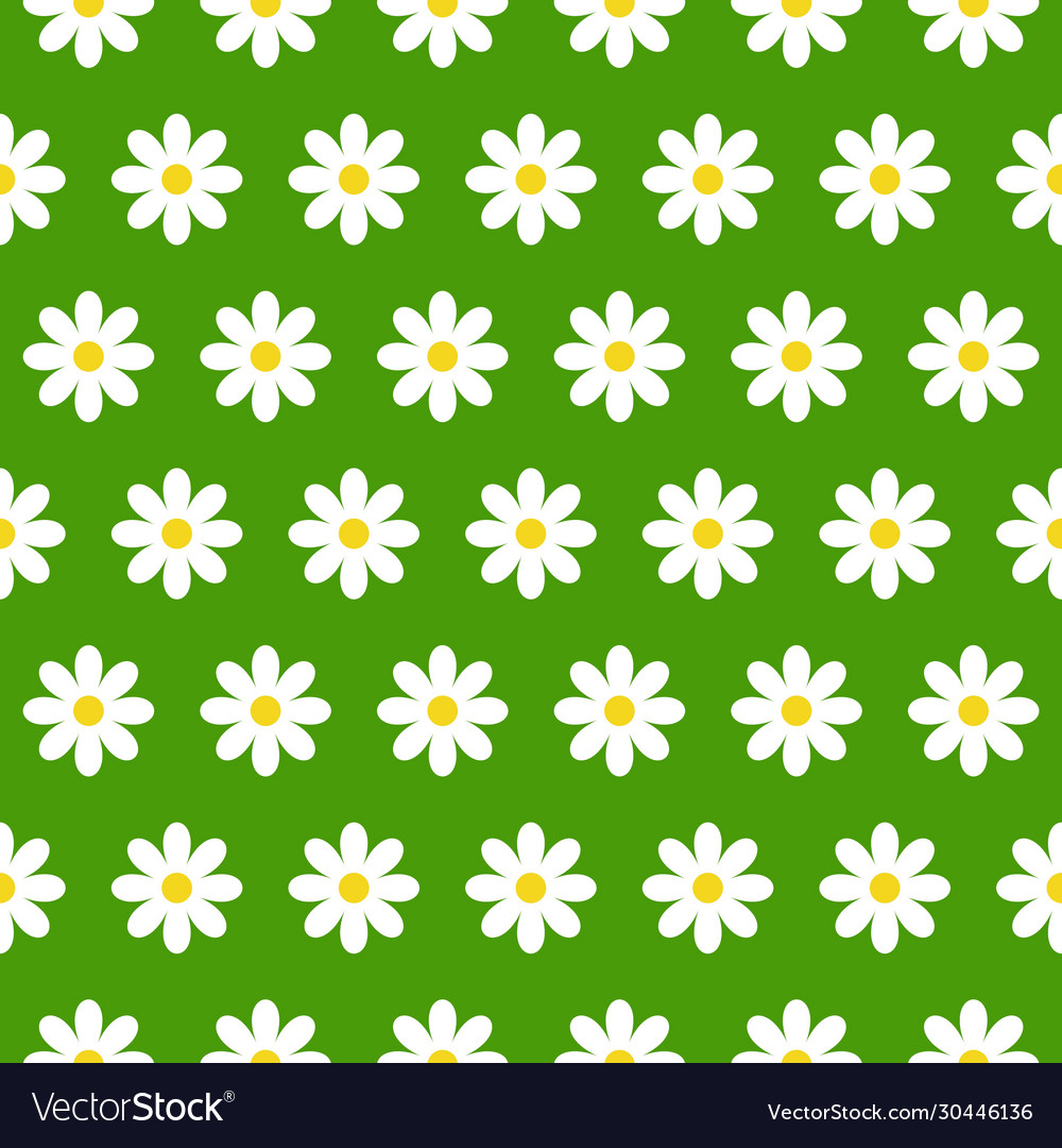 Seamless pattern with chamomile on green vector image Seamless pattern with chamomile on green