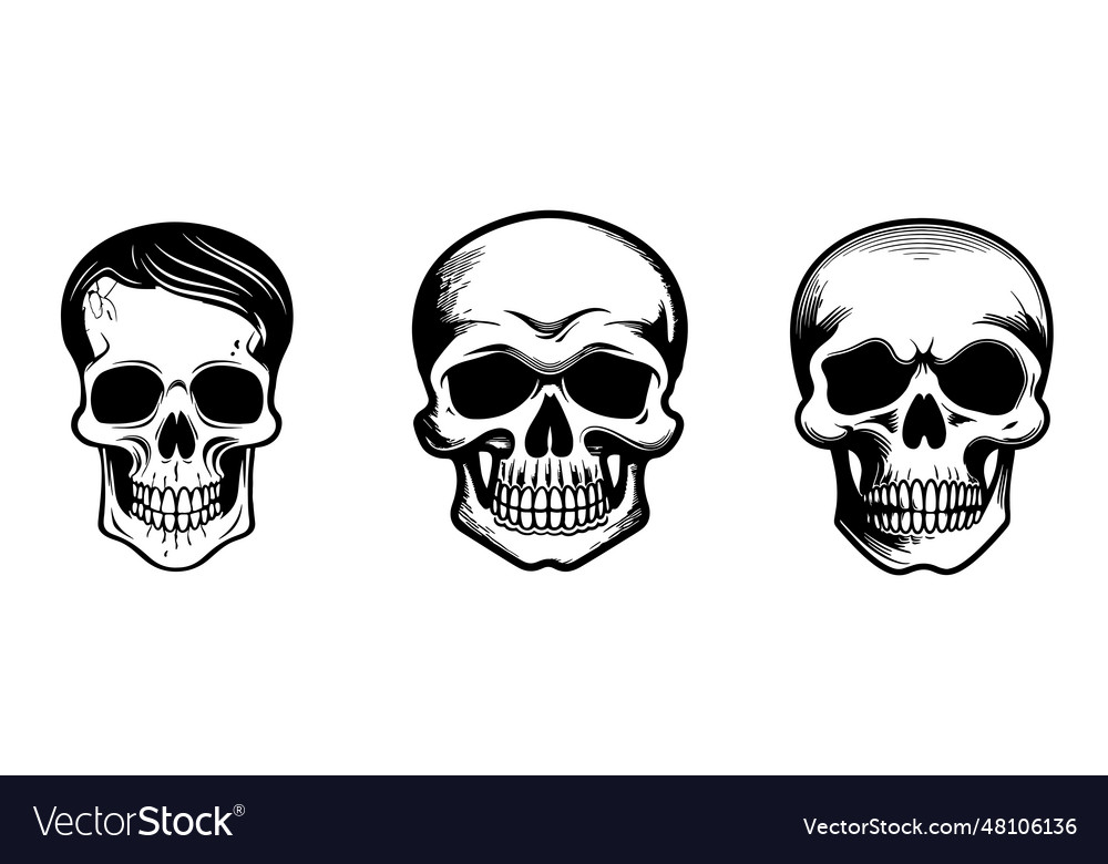 Skulls sketch hand drawn death day vector image Skulls sketch hand drawn death day