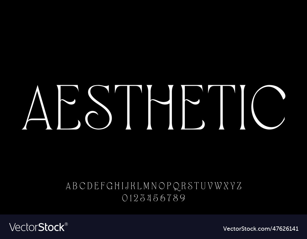 Aesthetic minimalist typeface display font thin Vector Image