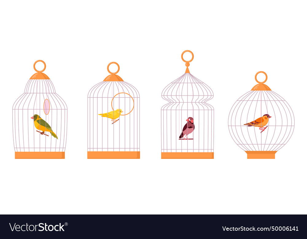 Bird cages cartoon domestic birds in iron