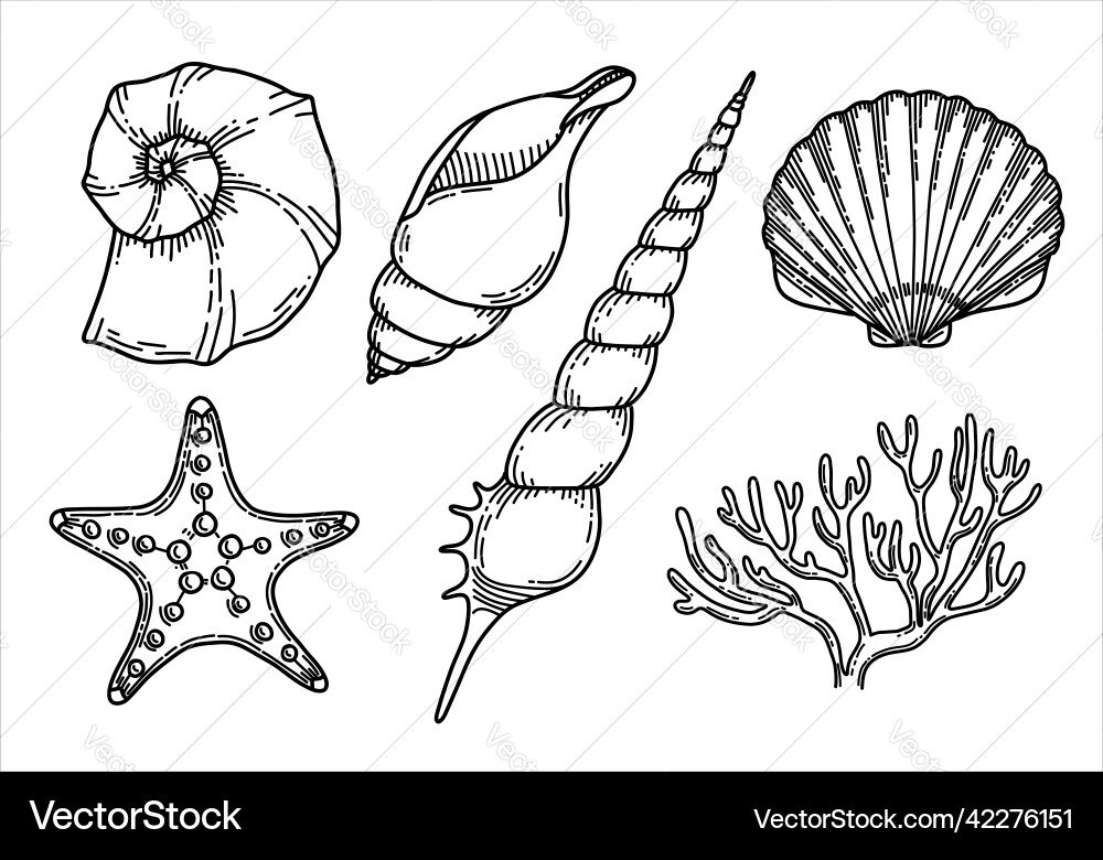 Set wit seashells and corals Royalty Free Vector Image