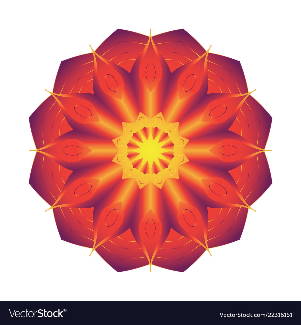 Simple gradient circular pattern on white backdrop vector image Simple gradient circular pattern on white backdrop