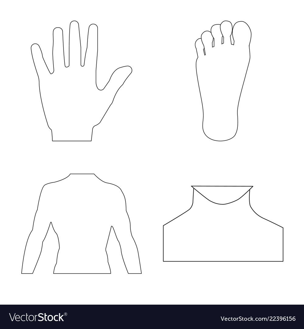 Design of human and part icon set vector image Design of human and part icon set