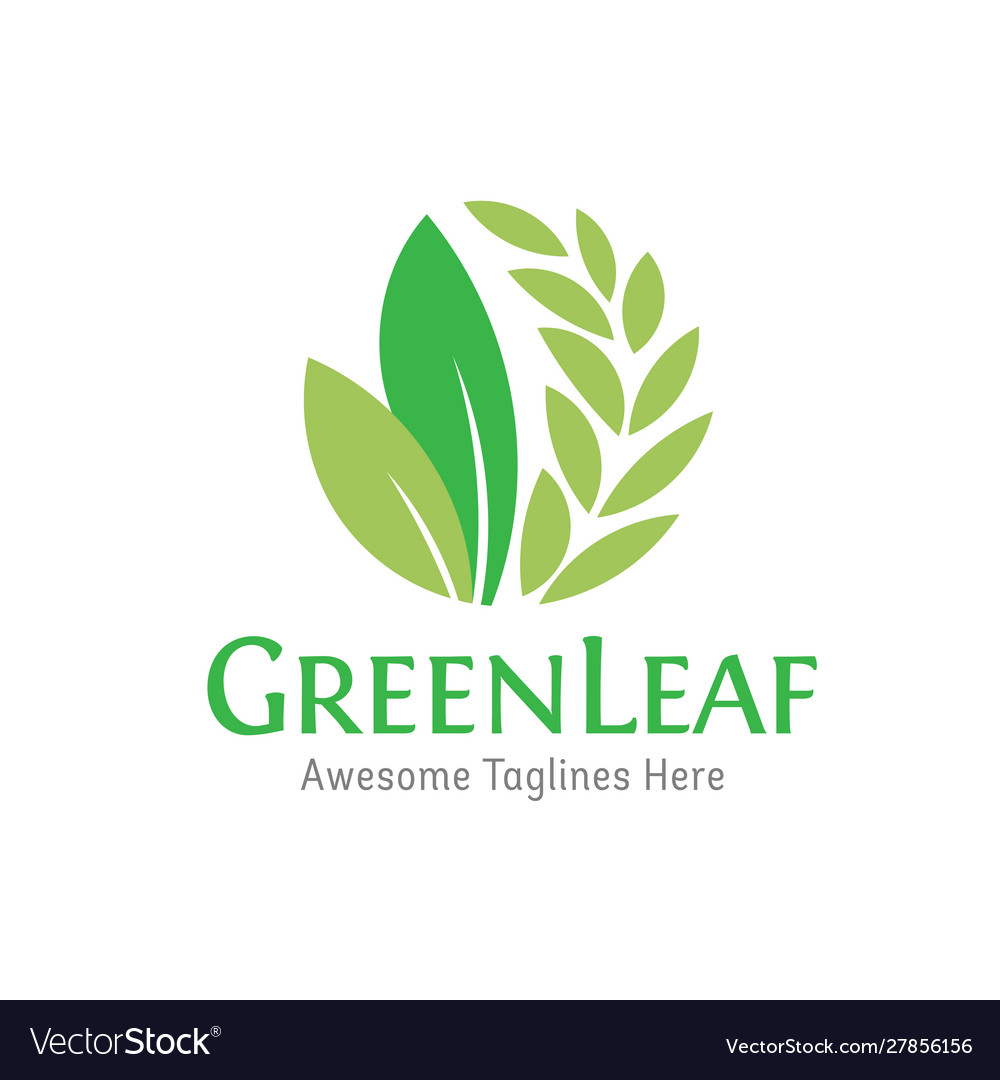 Green leaf ecology nature