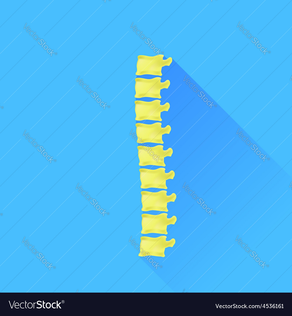 Backbone
