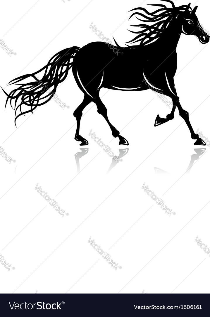 Horse silhouette for your design