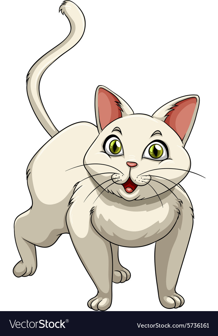 White Cat With Green Eyes Royalty Free Vector Image
