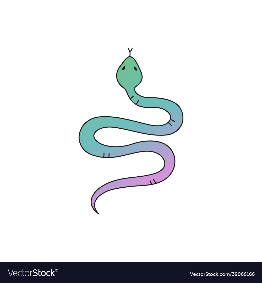 Colorful cute magical snake hand drawing Vector Image