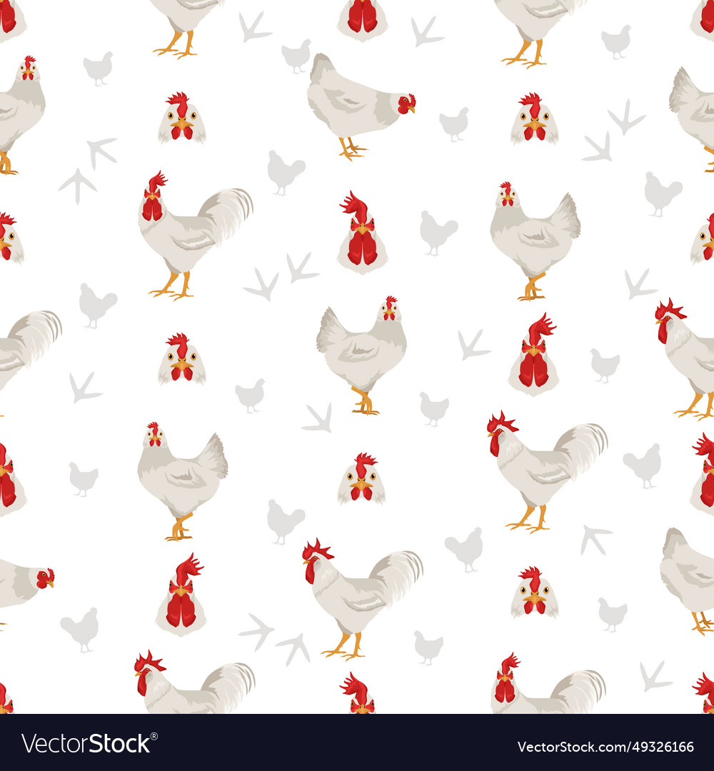 Leghorn chicken breeds seamless pattern poultry