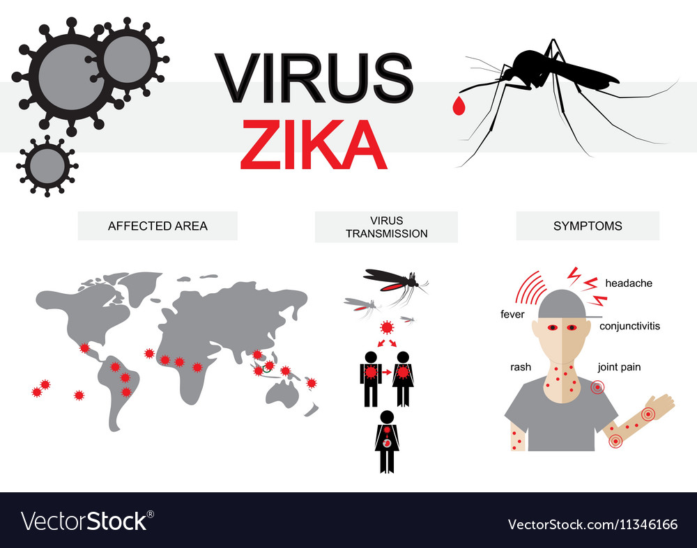 Zika virus infographics