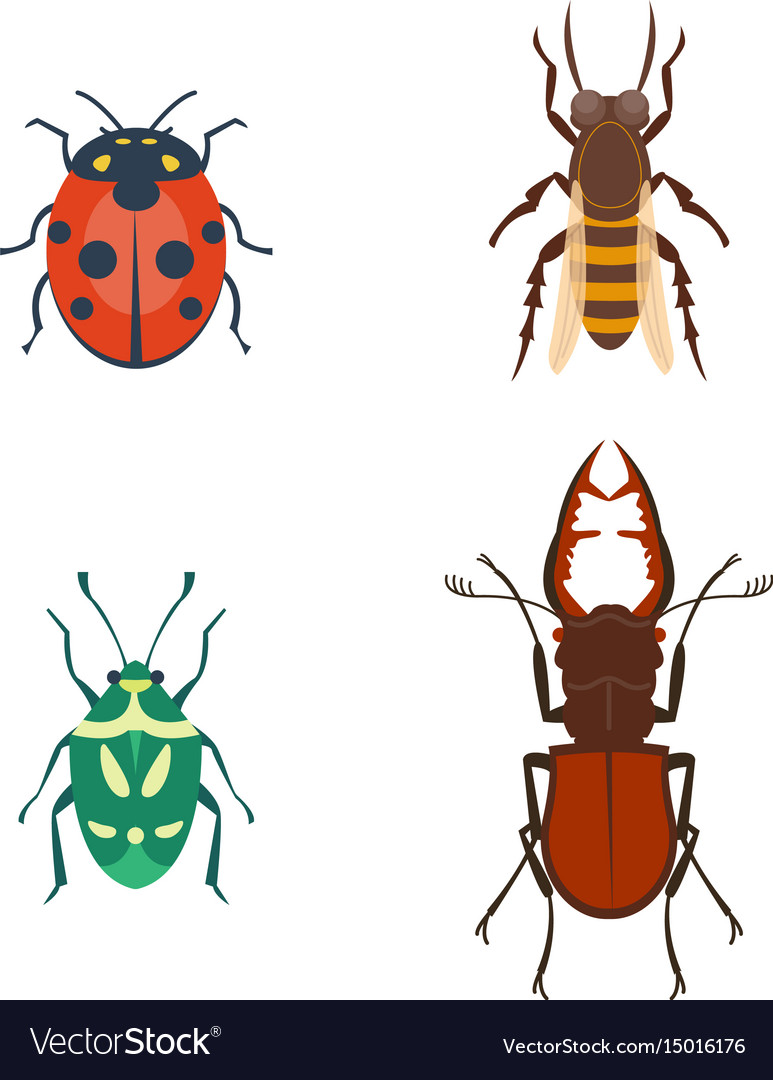 Colorful insects icons isolated wildlife wing