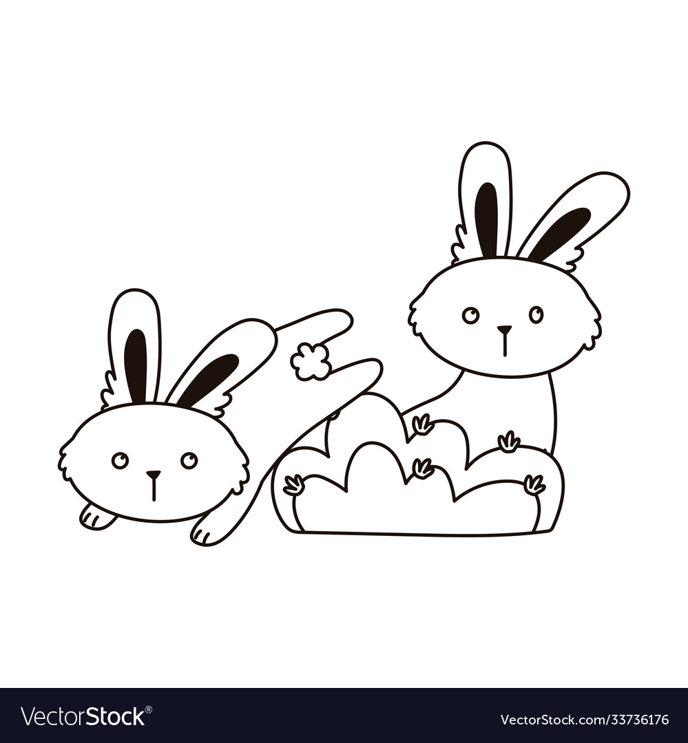 Cute rabbits bush nature foliage cartoon isolated