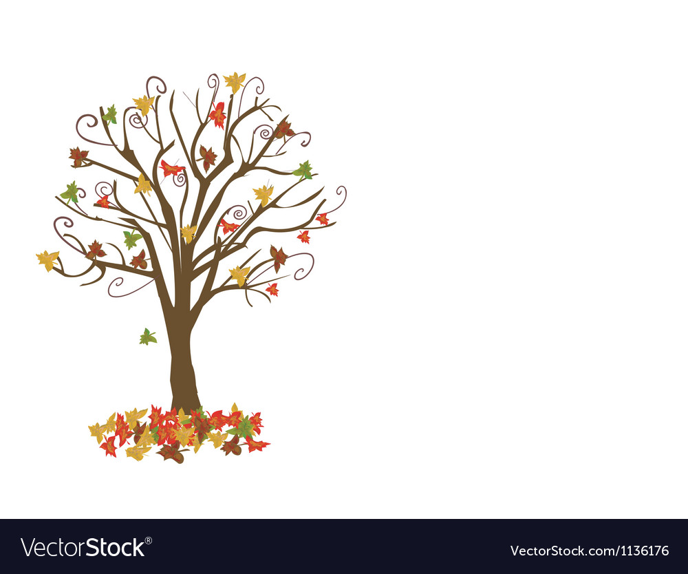 Lone autumn tree