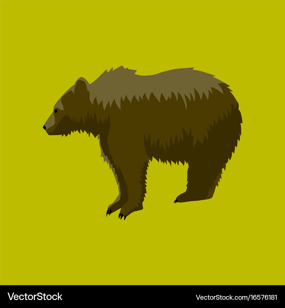 In flat style bear Royalty Free Vector Image - VectorStock