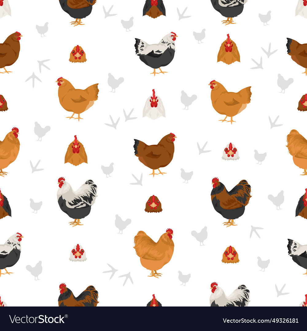 Orpington chicken breeds seamless pattern poultry Vector Image