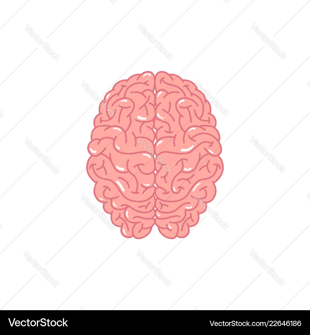 Human brain concept Royalty Free Vector Image - VectorStock