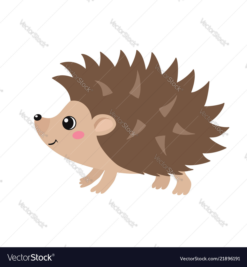 Cute hedgehog isolated on white background