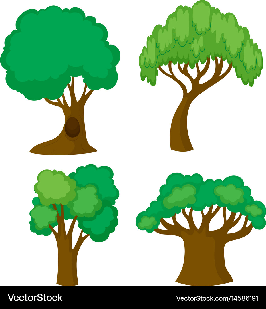 4 Tree Typse Four different shapes trees Royalty Free Vector Image