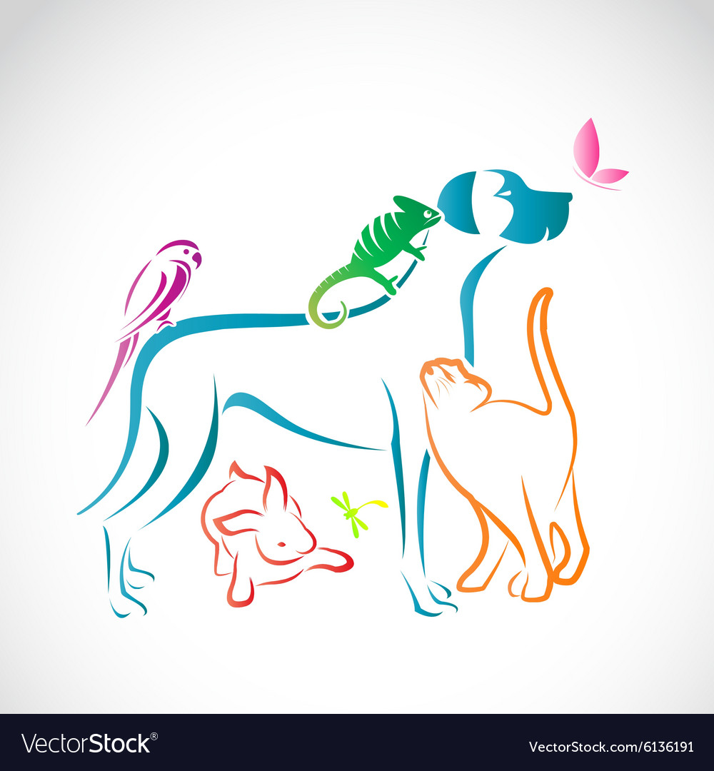 Group of pets Royalty Free Vector Image VectorStock
