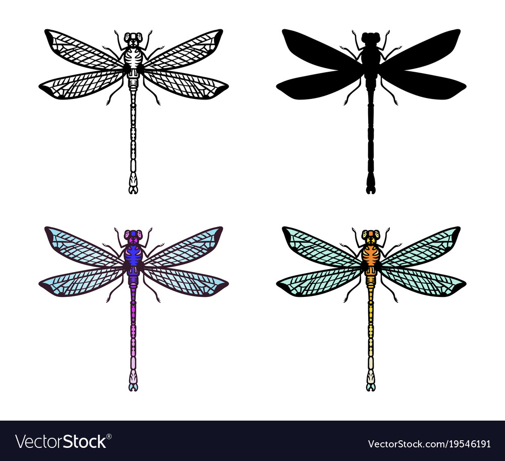 Set of hand drawn stylized dragonflies outline