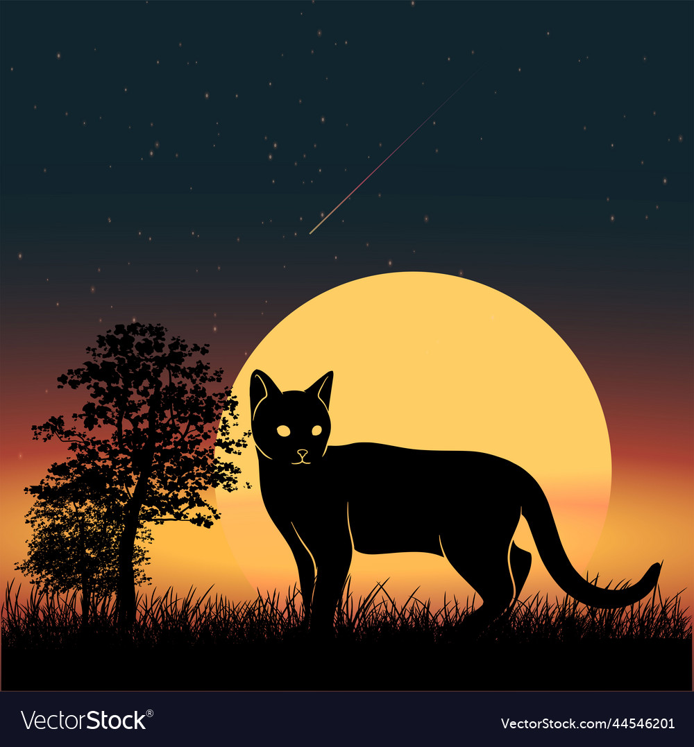 Cat silhouette and full moon night background