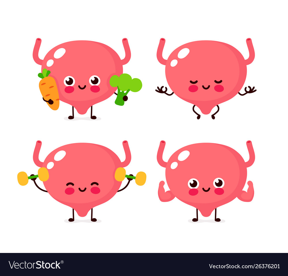 Cute healthy happy bladder organ