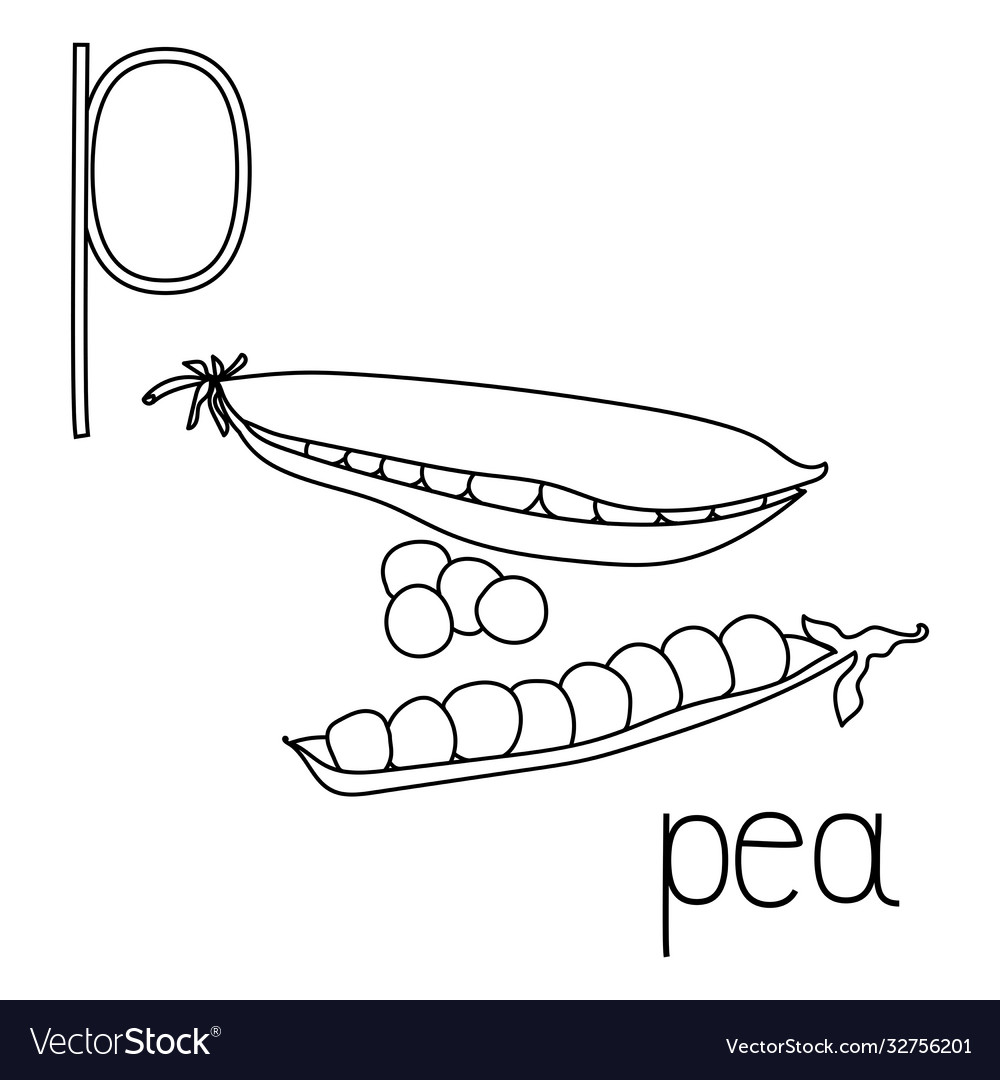 Green Pea Coloring Page - Letter P