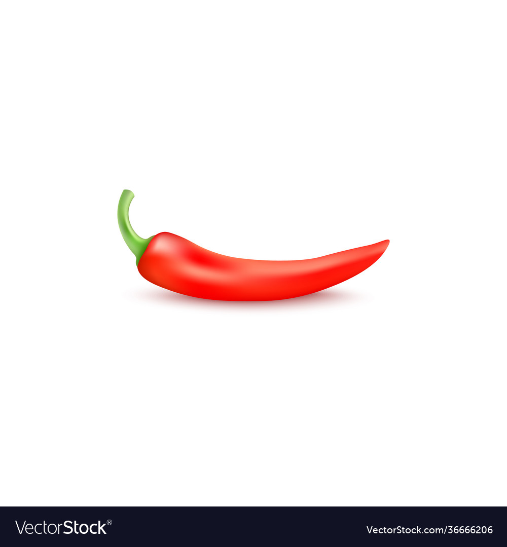 Red hot chili pepper a realistic 3d Royalty Free Vector
