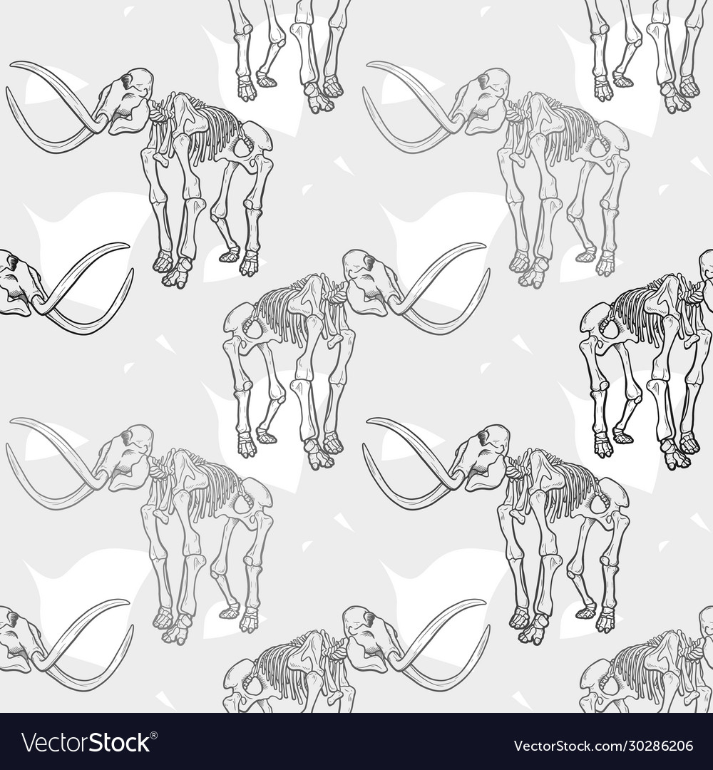 Seamless pattern with mammoth skeleton Vector Image Seamless pattern with mammoth skeleton