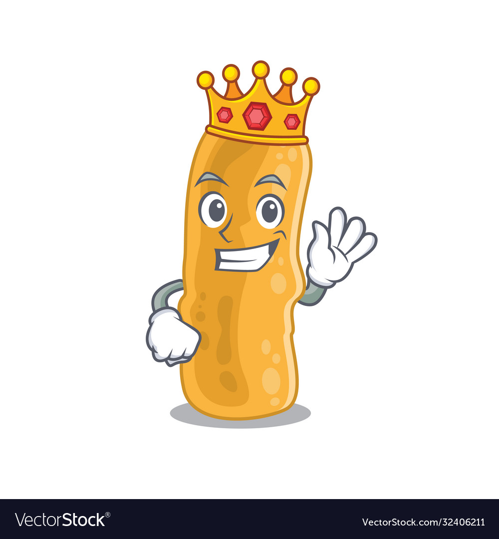 Ein weiser König shigella flexneri mascot design