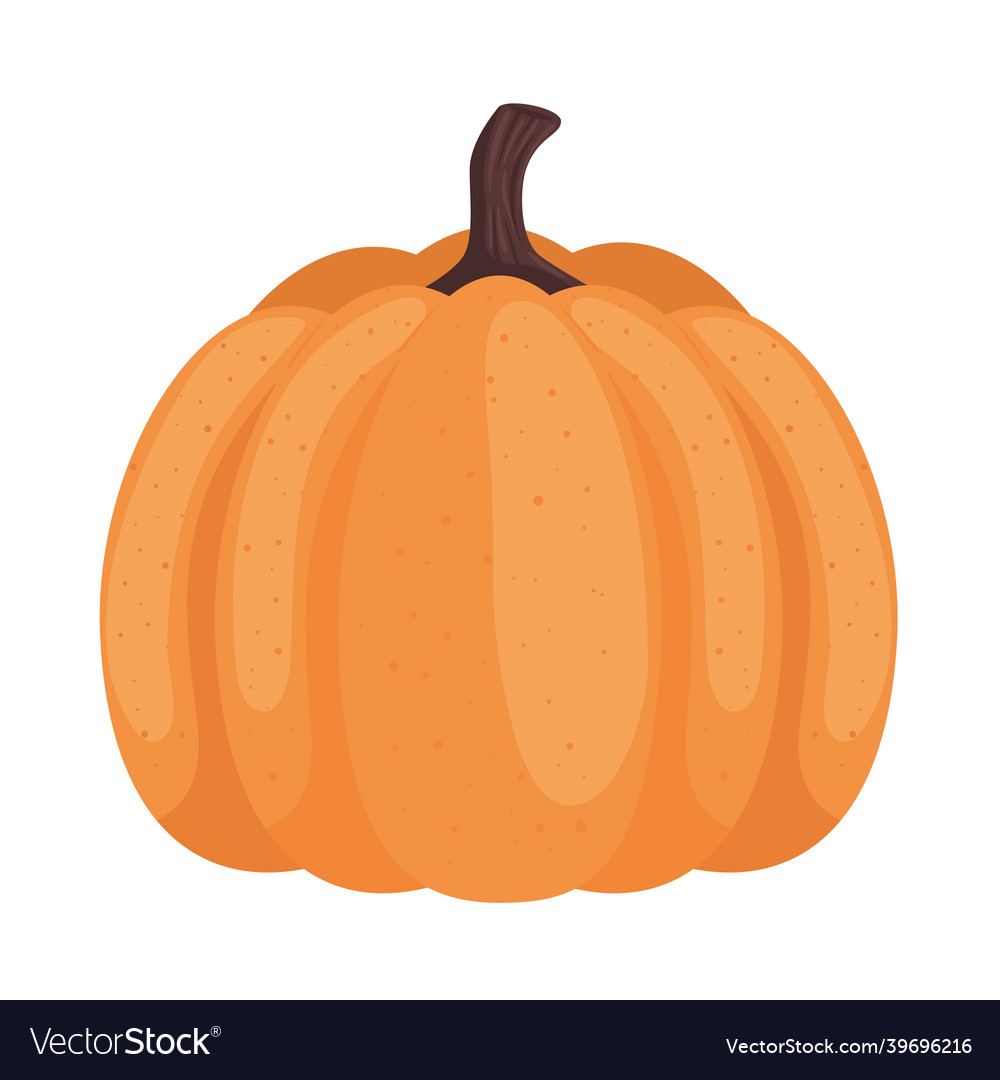 Isolated pumpkin vegetable Royalty Free Vector Image