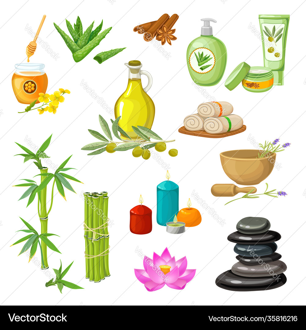 Spa salon decorative elements set Royalty Free Vector Image