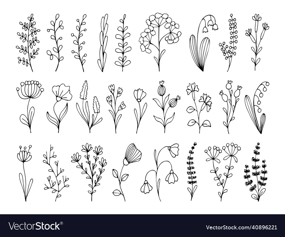 Set of floral hand drawn elements branches Vector Image