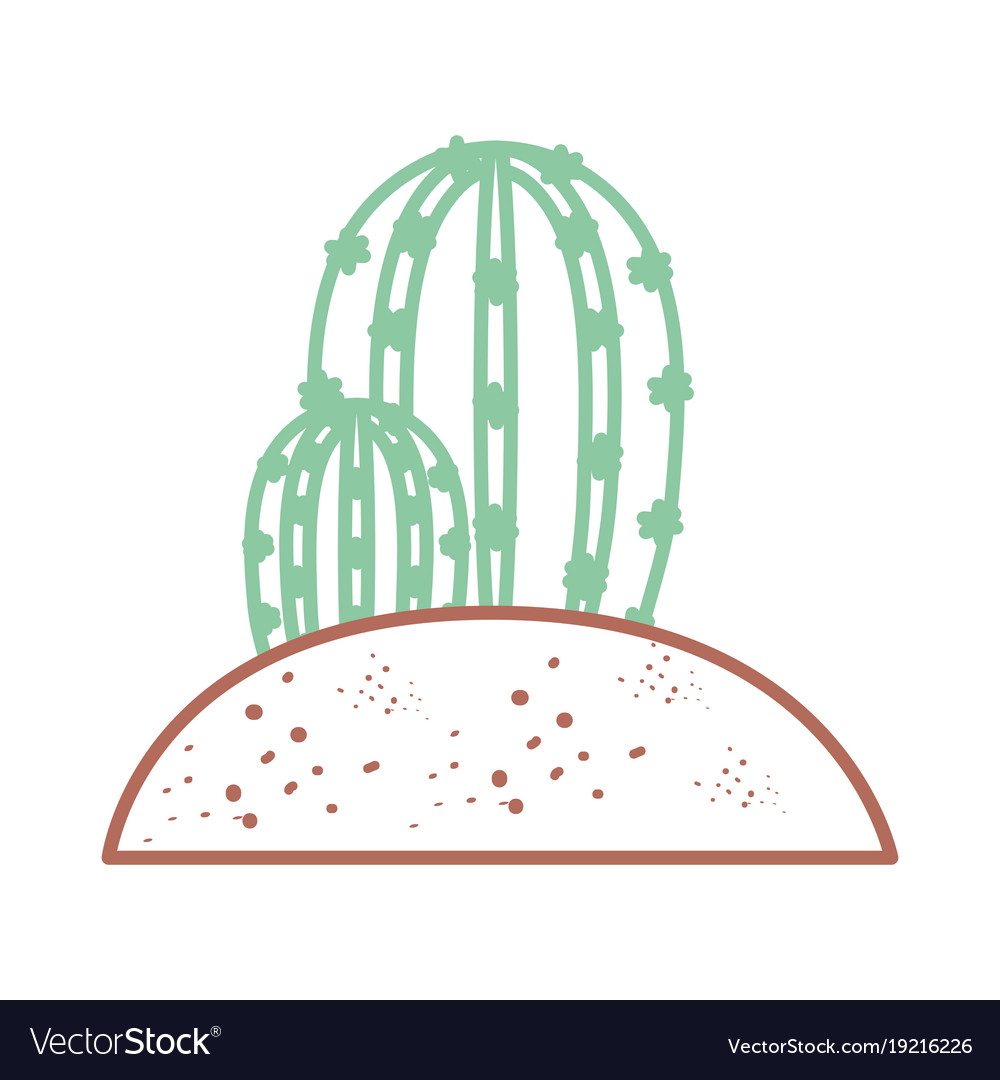 Cactus plant draw