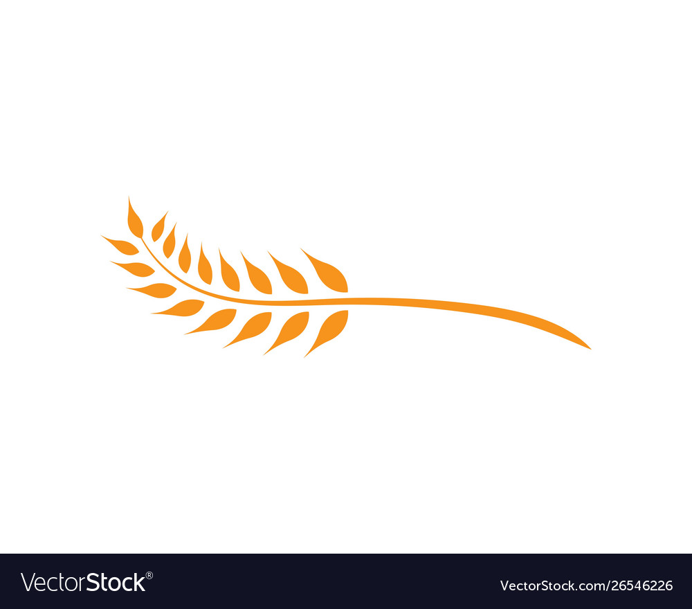 Wheat logo template