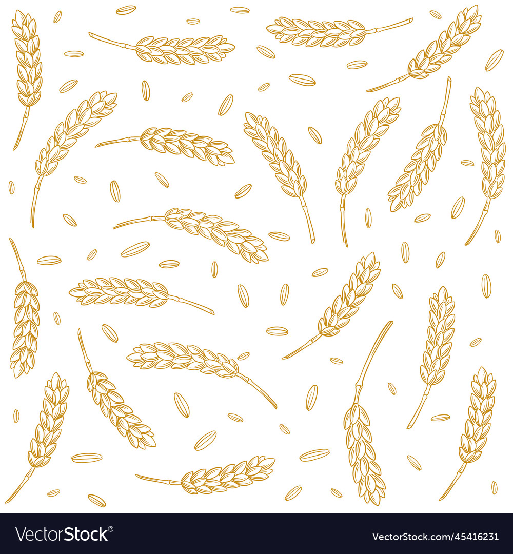 Cereal pattern background grains and ears