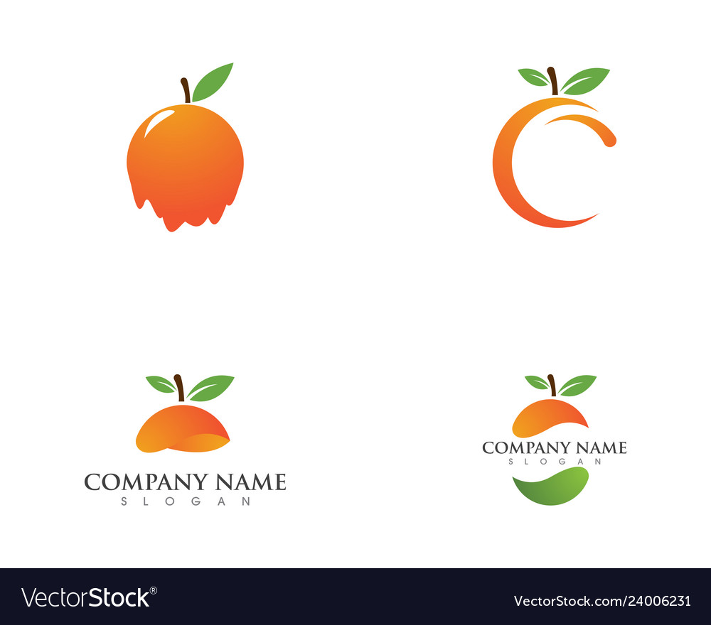 Orange Logo Design vector image Orange Logo Design