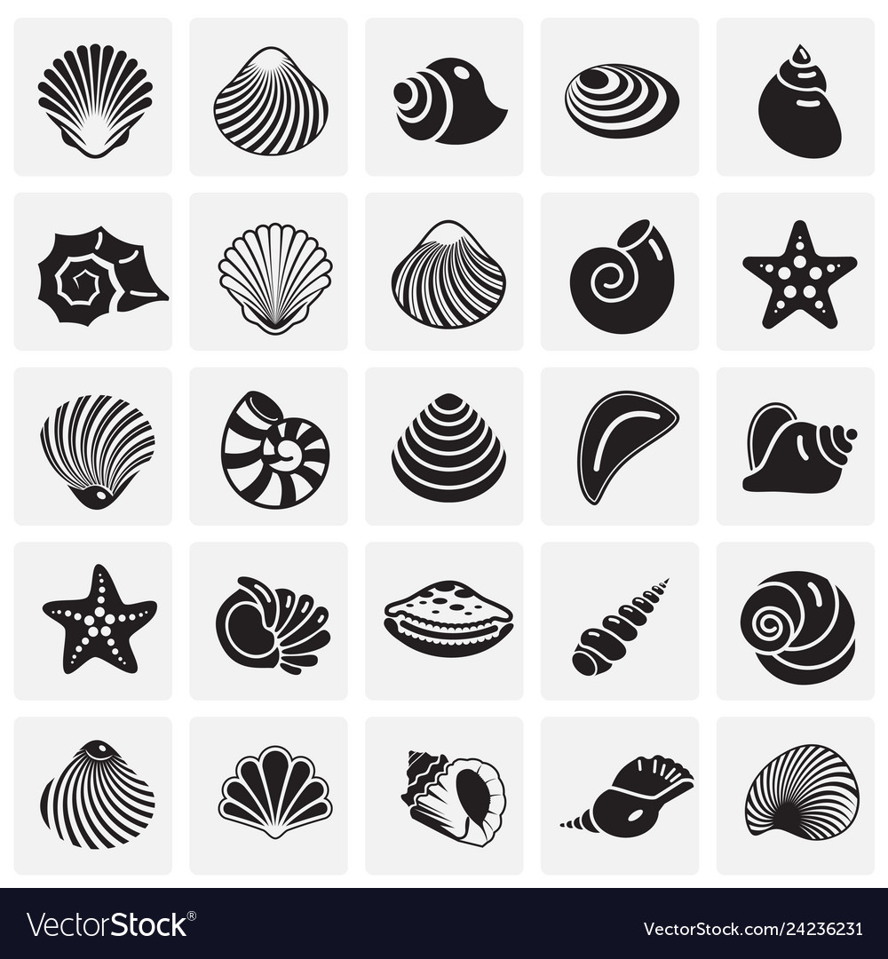 Sea Shell Icon Set