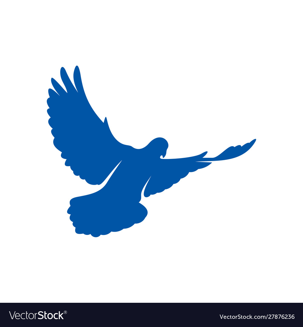 Dove logo design concept bird template icon Vector Image