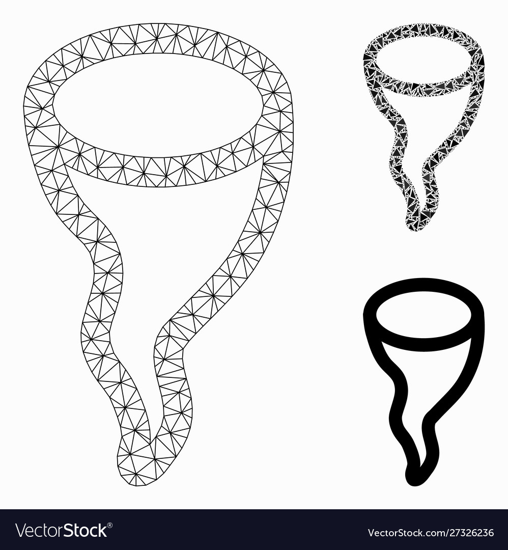 Vortex mesh wire frame model and triangle vector image Vortex mesh wire frame model and triangle