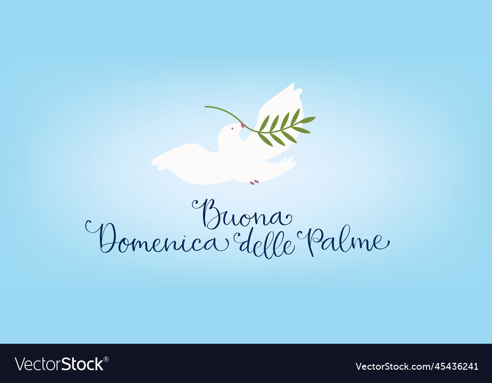 Buona domenica delle palme translation from vector image Buona domenica delle palme translation from