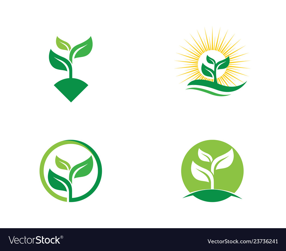 Logos of green tree leaf ecology