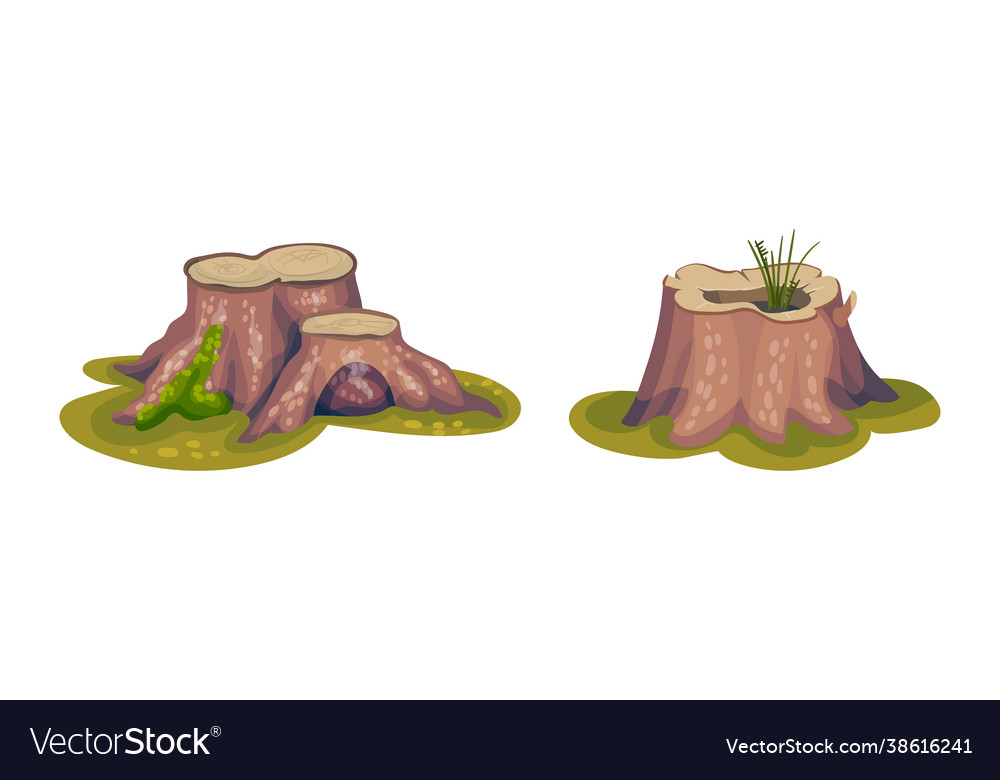 Tree stump as small part trunk with roots vector image Tree stump as small part trunk with roots